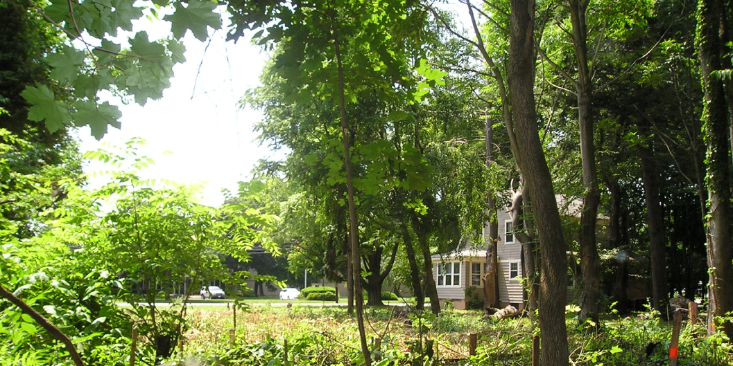 borough-of-old-tappan borough-of-old-tappan